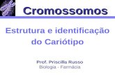 Cromossomos Estrutura e identificação do Cariótipo Prof. Priscilla Russo Biologia - Farmácia.