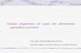 Estudos citogenéticos em casais com abortamentos espontâneos recorrentes Discente: Daniela Manchini Nizato Docente: Maria Tercília Vilela de Azeredo Oliveira.