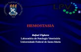 HEMOSTASIA Rafael Fighera Laboratório de Patologia Veterinária Universidade Federal de Santa Maria.
