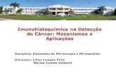 Disciplina: Elementos de Microscopia e Microanálise Discentes: Lilian Campos Pires Marina Curado Valsechi.