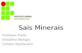 Sais Minerais Professor: Paulo Disciplina: Biologia Campus Aquidauana.