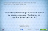 Consórcios Intermunicipais e outras formas de associação entre Municípios na organização regional no SUS Campos do Jordão/SP 18 de março de 2015 XXIX CONGRESSO.