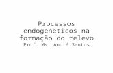 Processos endogenéticos na formação do relevo Prof. Ms. André Santos.