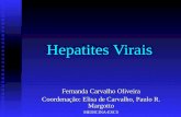 Hepatites Virais Fernanda Carvalho Oliveira Coordenação: Elisa de Carvalho, Paulo R. Margotto MEDICINA-ESCS.
