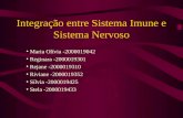 Integração entre Sistema Imune e Sistema Nervoso Maria Olívia -2000019042 Reginara -2000019301 Rejane -2000019310 Riviane -2000019352 Sílvia -2000019425.