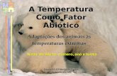 Professora Ana Rola Escola EB 2/3 Martim de Freitas 1 A Temperatura Como Fator Abiótico Adaptações dos animais às temperaturas extremas Nome do Aluno,