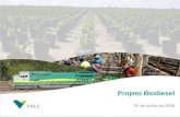 Projeto Biodiesel 24 de junho de 2009. Por que investir na produção própria de biodiesel: Matriz de produção do biodiesel no Brasil sustentada pela soja.
