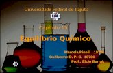 Equilíbrio Químico Marcela Pinelli 18724 Guilherme D. P. C. 18706 Prof.: Élcio Barrak Capítulo 15 Universidade Federal de Itajubá.