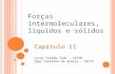 Capítulo 11 Lucas Toledo Tude – 18720 Igor Carvalho de Araújo - 18713 Forças intermoleculares, líquidos e sólidos.