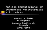 Análise Computacional de Seqüências Nucleotídicas e Protéicas Bancos de dados biológicos Antonio Basílio de Miranda 23/11/2004.