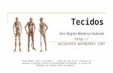 TecidosTecidos “Corpo Humano: Real e Fascinante”, criada por Roy Glover, professor de anatomia e biologia celular da Universidade de Michigan, no estado.