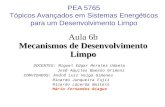 PEA 5765 Tópicos Avançados em Sistemas Energéticos para um Desenvolvimento Limpo Aula 6b Mecanismos de Desenvolvimento Limpo DOCENTES: Miguel Edgar Morales.