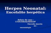 Herpes Neonatal: Encefalite herpética Relato de caso – UTIN/HRAS/SES/DF Relato de caso – UTIN/HRAS/SES/DF Marcelle Amorim Marcelle Amorim R3 - neonatologia.