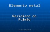 Dra Adriana M. Auler Paloschi Elemento metal Meridiano do Pulmão.