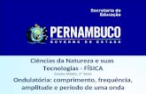 Ciências da Natureza e suas Tecnologias - FÍSICA Ensino Médio, 2ª Série Ondulatória: comprimento, frequência, amplitude e período de uma onda.
