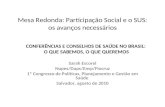 Mesa Redonda: Participação Social e o SUS: os avanços necessários Sarah Escorel Nupes/Daps/Ensp/Fiocruz 1º Congresso de Políticas, Planejamento e Gestão.