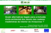 Quais alternativas legais para a inclusão socio-ambiental dos atores das cadeias madeireiras do interior do Amazonas ? Proposta Floresta Viva a SDS / SEAFE.