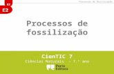 E2 Processos de fossilização CienTIC 7 Ciências Naturais – 7. º ano.