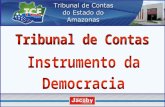 Competência Constitucional.  Relações entre Democracia e Contas.  Afastamento do Processo Eleitoral em decorrência de ação do Tribunal de Contas.