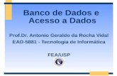 Banco de Dados e Acesso a Dados Prof.Dr. Antonio Geraldo da Rocha Vidal EAD-5881 - Tecnologia de Informática FEA/USP.