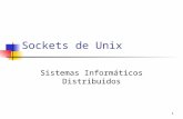 1 Sockets de Unix Sistemas Informáticos Distribuidos.