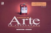 Newton Cesar - Direcao de Arte Em Propaganda