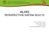 Perspectiva Safra 2012 - 2013