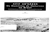 AB'SÁBER, Aziz Nacib - Os domínios de natureza no Brasil - potencialidades paisagísticas