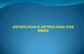 Osteologia e Artrologia Dos MMSS