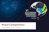 VI Encontro CECIEx - Paulo Rabello de Castro