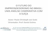 O futuro do empreeendedorismo no Brasil uma análise comparativa com a Suíça