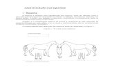 [Resenha] Identificação dos equídeos - Resenha.pdf