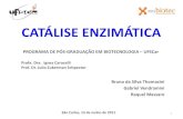Catálise Enzimática [Bioquímica I]._