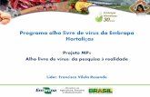 Francisco Vilella - Projeto Alho Livre de Vírus - EMBRAPA CNPH