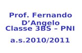 Prof. Fernando DAngelo Classe 3BS – PNI a.s.2010/2011.
