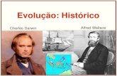 Aula 06   evolução - histórico -  origem da vida e diversidade dos seres vivos - ufabc