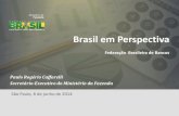 Brasil em Perspectiva - Junho de 2014