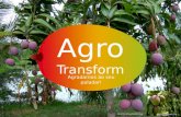 Agro transform - Projeto Startup Weekend Praia Nov2013