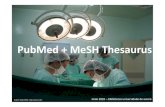 PubMed + MeSH Thesaurus