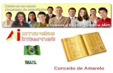 Amarelasinternet Brasil oportunidade de negocio