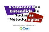 QCon SP 2011 - A Semente não entendida de Todas as Metodologias