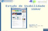 estudo usabilidade SEBRAE 2008