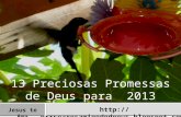 13 Preciosas Promessas de Deus para  2013