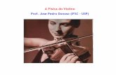 Fisica do violino ()