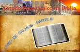 61   Estudo Panorâmico da Bíblia (o livro de Salmos - parte 3)