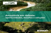BNDES -  Amazônia Em Debate