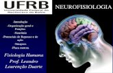 Neurofisiologia 1