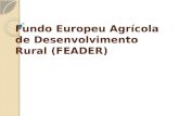2.mód13   fundo europeu agrícola de desenvolvimento rural (feader