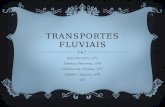 Transportes fluviais
