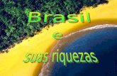 Brasil e suas riquezas